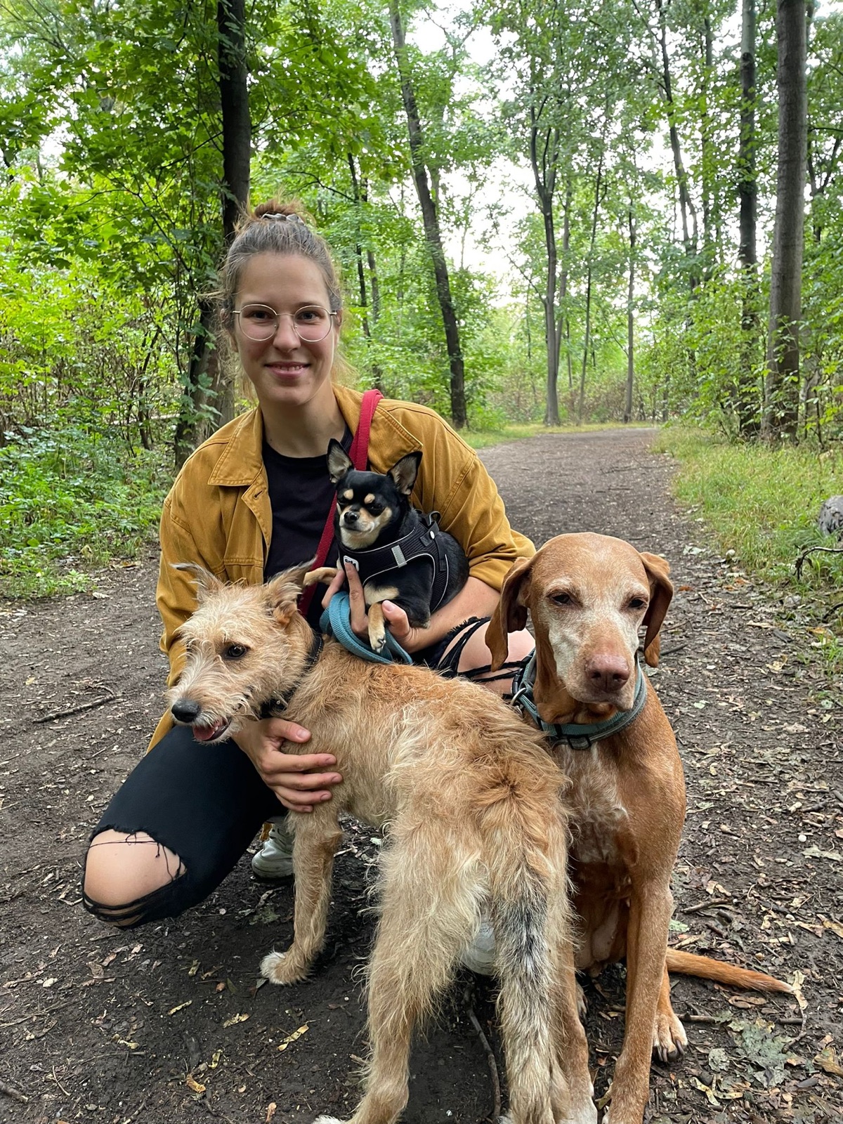 Lisa mit ihren Hunden im Wald